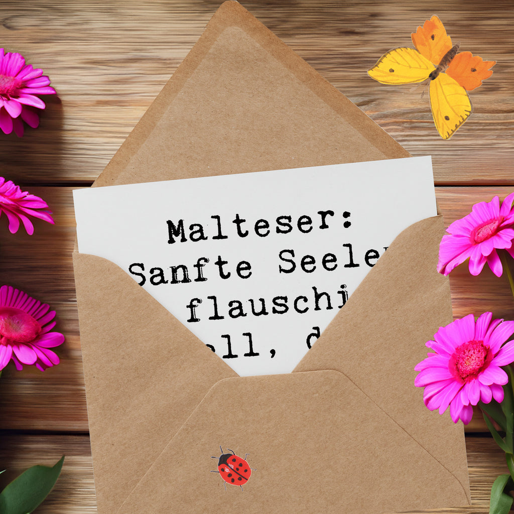 Deluxe Karte Spruch Malteser Liebe Karte, Grußkarte, Klappkarte, Einladungskarte, Glückwunschkarte, Hochzeitskarte, Geburtstagskarte, Hochwertige Grußkarte, Hochwertige Klappkarte, Hund, Hunderasse, Rassehund, Hundebesitzer, Geschenk, Tierfreund, Schenken, Welpe