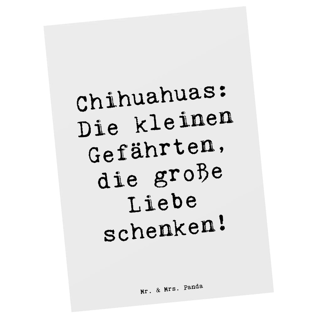 Postkarte Spruch Chihuahua Liebe Postkarte, Karte, Geschenkkarte, Grußkarte, Einladung, Ansichtskarte, Geburtstagskarte, Einladungskarte, Dankeskarte, Ansichtskarten, Einladung Geburtstag, Einladungskarten Geburtstag, Hund, Hunderasse, Rassehund, Hundebesitzer, Geschenk, Tierfreund, Schenken, Welpe