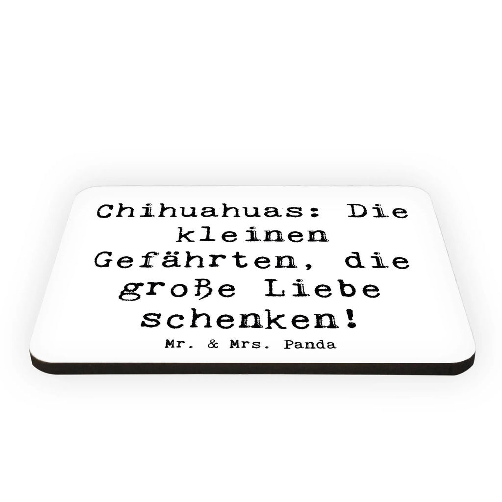 Magnet Spruch Chihuahua Liebe Kühlschrankmagnet, Pinnwandmagnet, Souvenir Magnet, Motivmagnete, Dekomagnet, Whiteboard Magnet, Notiz Magnet, Kühlschrank Dekoration, Hund, Hunderasse, Rassehund, Hundebesitzer, Geschenk, Tierfreund, Schenken, Welpe