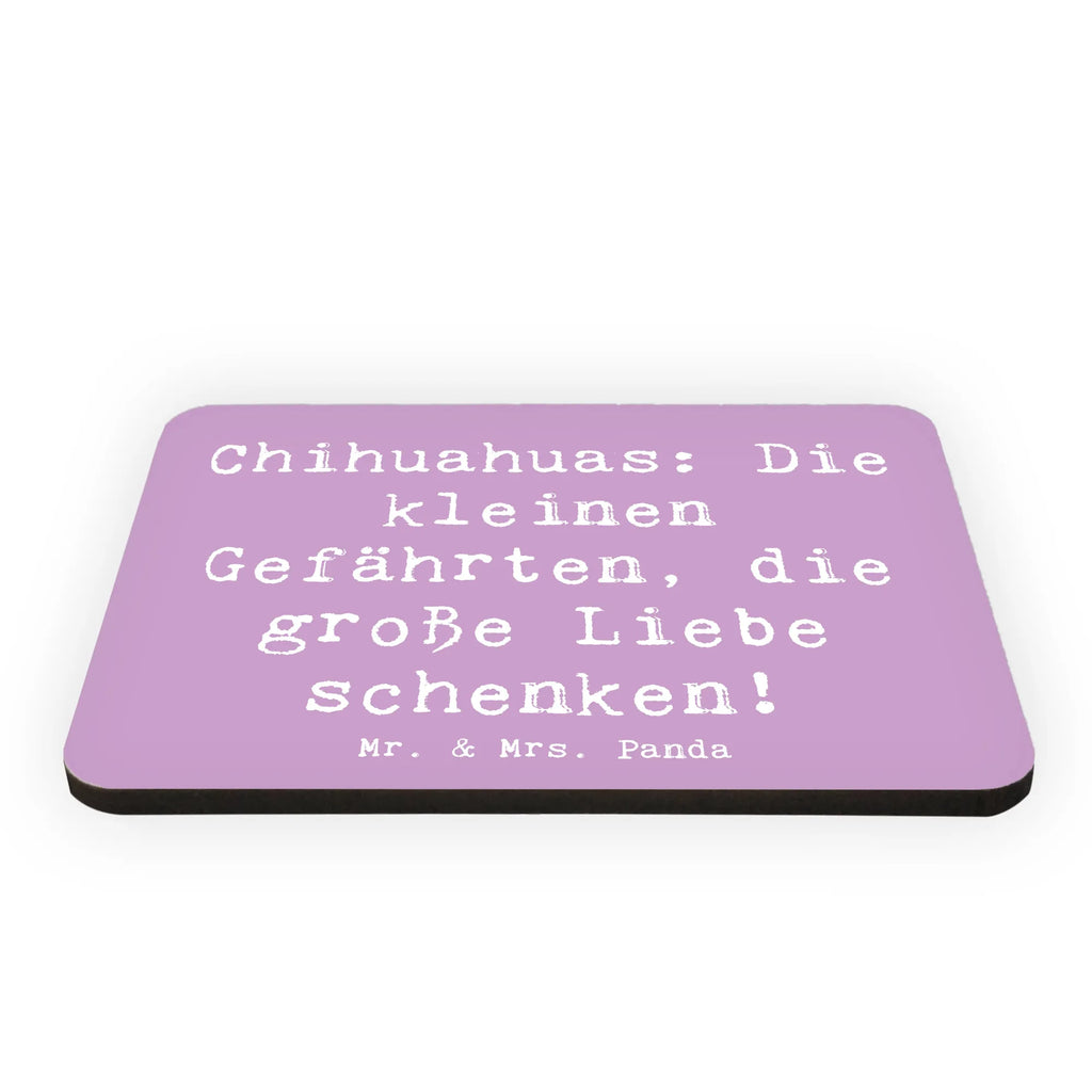 Magnet Spruch Chihuahua Liebe Kühlschrankmagnet, Pinnwandmagnet, Souvenir Magnet, Motivmagnete, Dekomagnet, Whiteboard Magnet, Notiz Magnet, Kühlschrank Dekoration, Hund, Hunderasse, Rassehund, Hundebesitzer, Geschenk, Tierfreund, Schenken, Welpe