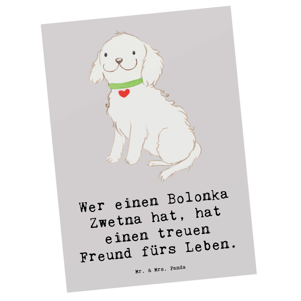 Postkarte Bolonka Zwetna Postkarte, Karte, Geschenkkarte, Grußkarte, Einladung, Ansichtskarte, Geburtstagskarte, Einladungskarte, Dankeskarte, Ansichtskarten, Einladung Geburtstag, Einladungskarten Geburtstag, Hund, Hunderasse, Rassehund, Hundebesitzer, Geschenk, Tierfreund, Schenken, Welpe