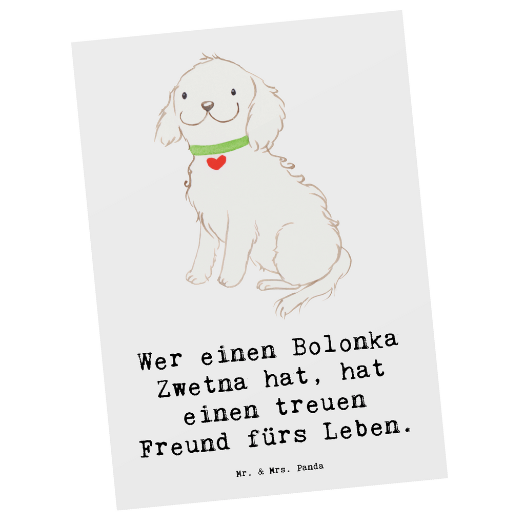 Postkarte Bolonka Zwetna Postkarte, Karte, Geschenkkarte, Grußkarte, Einladung, Ansichtskarte, Geburtstagskarte, Einladungskarte, Dankeskarte, Ansichtskarten, Einladung Geburtstag, Einladungskarten Geburtstag, Hund, Hunderasse, Rassehund, Hundebesitzer, Geschenk, Tierfreund, Schenken, Welpe