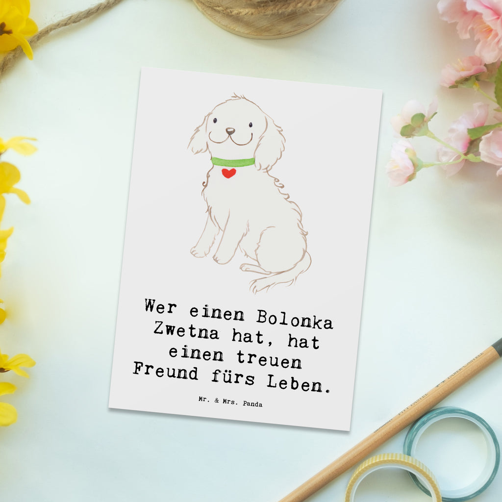 Postkarte Bolonka Zwetna Postkarte, Karte, Geschenkkarte, Grußkarte, Einladung, Ansichtskarte, Geburtstagskarte, Einladungskarte, Dankeskarte, Ansichtskarten, Einladung Geburtstag, Einladungskarten Geburtstag, Hund, Hunderasse, Rassehund, Hundebesitzer, Geschenk, Tierfreund, Schenken, Welpe