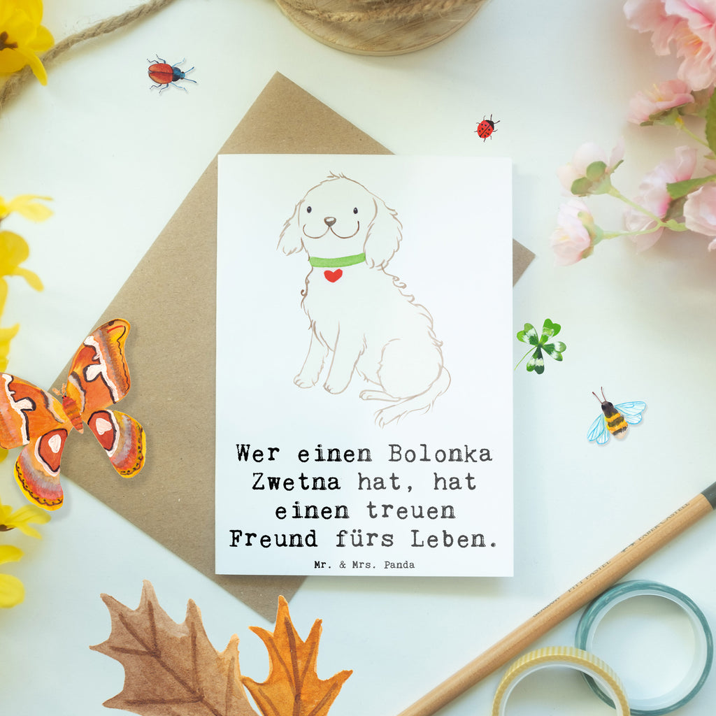 Grußkarte Bolonka Zwetna Grußkarte, Klappkarte, Einladungskarte, Glückwunschkarte, Hochzeitskarte, Geburtstagskarte, Karte, Ansichtskarten, Hund, Hunderasse, Rassehund, Hundebesitzer, Geschenk, Tierfreund, Schenken, Welpe