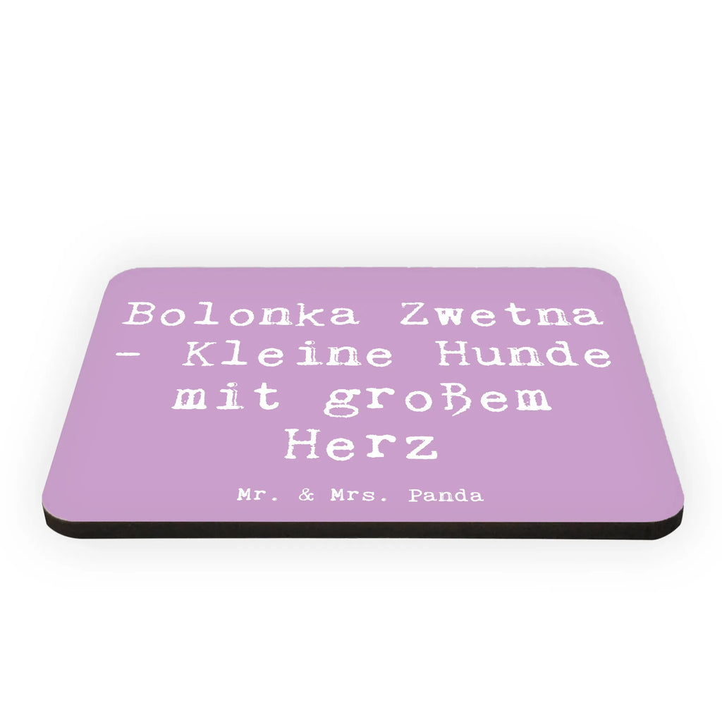 Magnet Spruch Bolonka Zwetna Herz Kühlschrankmagnet, Pinnwandmagnet, Souvenir Magnet, Motivmagnete, Dekomagnet, Whiteboard Magnet, Notiz Magnet, Kühlschrank Dekoration, Hund, Hunderasse, Rassehund, Hundebesitzer, Geschenk, Tierfreund, Schenken, Welpe