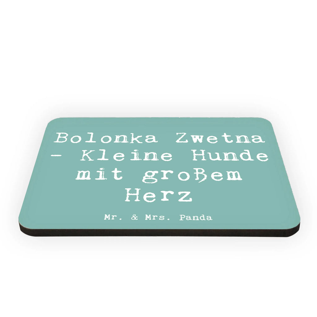 Magnet Spruch Bolonka Zwetna Herz Kühlschrankmagnet, Pinnwandmagnet, Souvenir Magnet, Motivmagnete, Dekomagnet, Whiteboard Magnet, Notiz Magnet, Kühlschrank Dekoration, Hund, Hunderasse, Rassehund, Hundebesitzer, Geschenk, Tierfreund, Schenken, Welpe