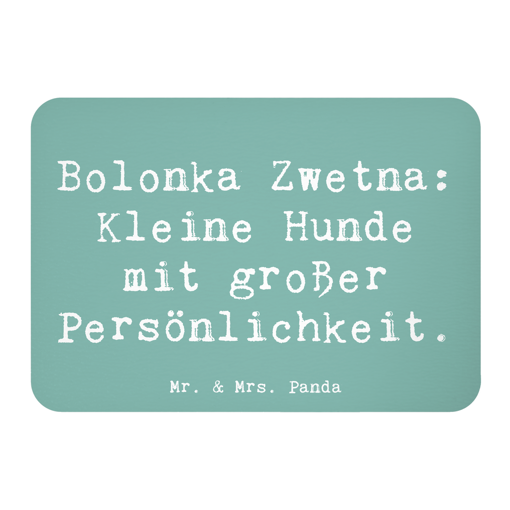 Magnet Spruch Bolonka Zwetna Charme Kühlschrankmagnet, Pinnwandmagnet, Souvenir Magnet, Motivmagnete, Dekomagnet, Whiteboard Magnet, Notiz Magnet, Kühlschrank Dekoration, Hund, Hunderasse, Rassehund, Hundebesitzer, Geschenk, Tierfreund, Schenken, Welpe