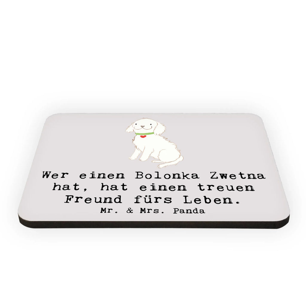 Magnet Bolonka Zwetna Kühlschrankmagnet, Pinnwandmagnet, Souvenir Magnet, Motivmagnete, Dekomagnet, Whiteboard Magnet, Notiz Magnet, Kühlschrank Dekoration, Hund, Hunderasse, Rassehund, Hundebesitzer, Geschenk, Tierfreund, Schenken, Welpe