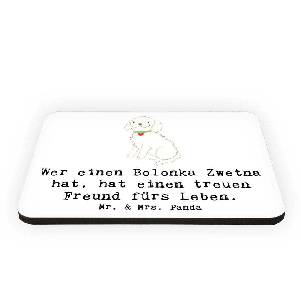 Magnet Bolonka Zwetna Kühlschrankmagnet, Pinnwandmagnet, Souvenir Magnet, Motivmagnete, Dekomagnet, Whiteboard Magnet, Notiz Magnet, Kühlschrank Dekoration, Hund, Hunderasse, Rassehund, Hundebesitzer, Geschenk, Tierfreund, Schenken, Welpe