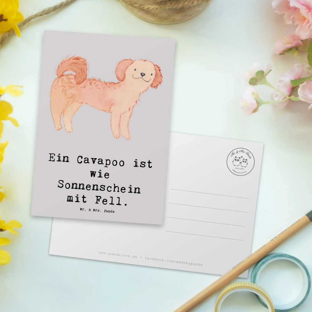 Postkarte Cavapoo Sonnenschein Postkarte, Karte, Geschenkkarte, Grußkarte, Einladung, Ansichtskarte, Geburtstagskarte, Einladungskarte, Dankeskarte, Ansichtskarten, Einladung Geburtstag, Einladungskarten Geburtstag, Hund, Hunderasse, Rassehund, Hundebesitzer, Geschenk, Tierfreund, Schenken, Welpe