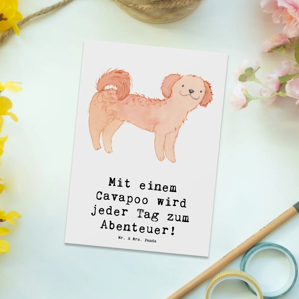 Postkarte Cavapoo Abenteuer Postkarte, Karte, Geschenkkarte, Grußkarte, Einladung, Ansichtskarte, Geburtstagskarte, Einladungskarte, Dankeskarte, Ansichtskarten, Einladung Geburtstag, Einladungskarten Geburtstag, Hund, Hunderasse, Rassehund, Hundebesitzer, Geschenk, Tierfreund, Schenken, Welpe