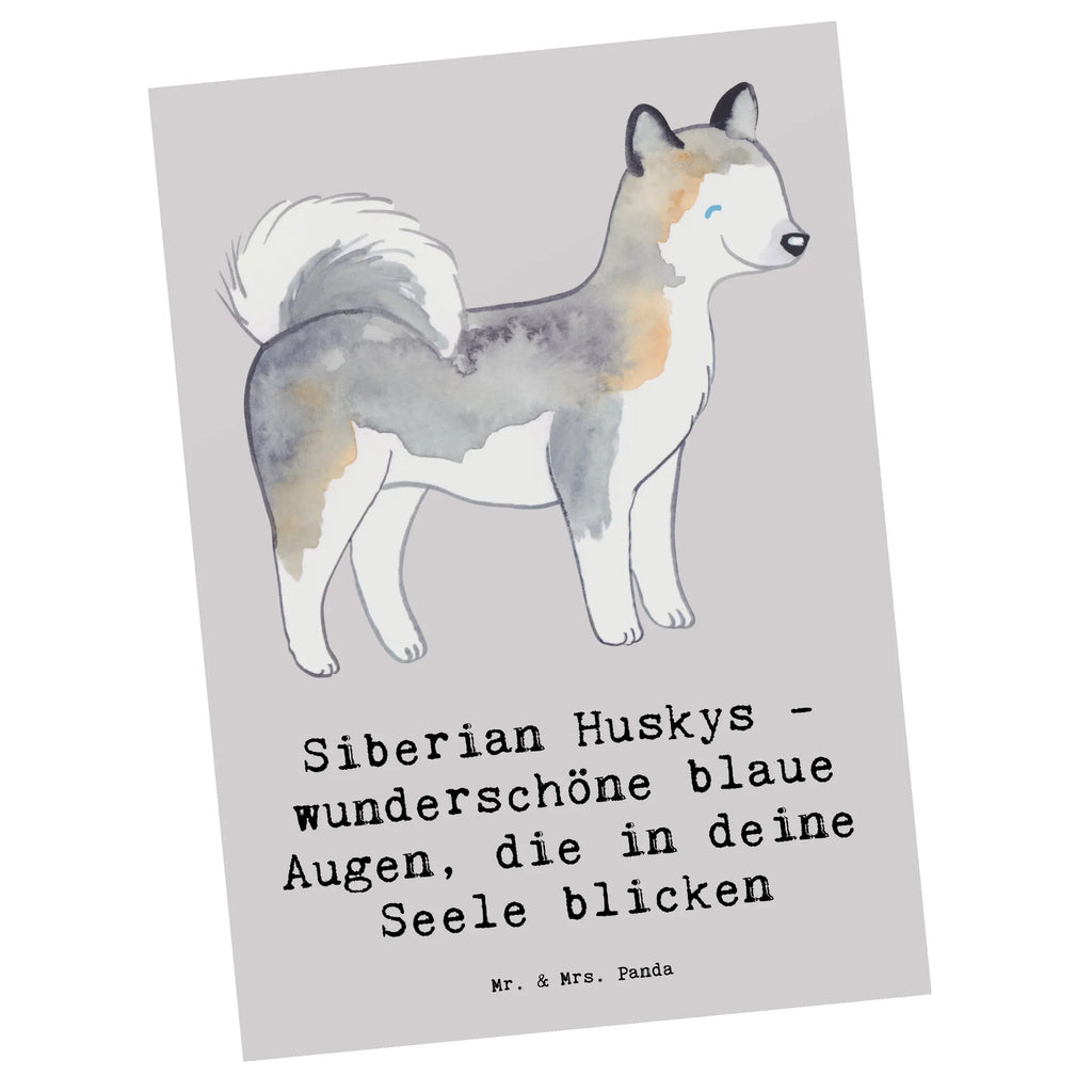 Postkarte Siberian Husky Augenzauber Postkarte, Karte, Geschenkkarte, Grußkarte, Einladung, Ansichtskarte, Geburtstagskarte, Einladungskarte, Dankeskarte, Ansichtskarten, Einladung Geburtstag, Einladungskarten Geburtstag, Hund, Hunderasse, Rassehund, Hundebesitzer, Geschenk, Tierfreund, Schenken, Welpe