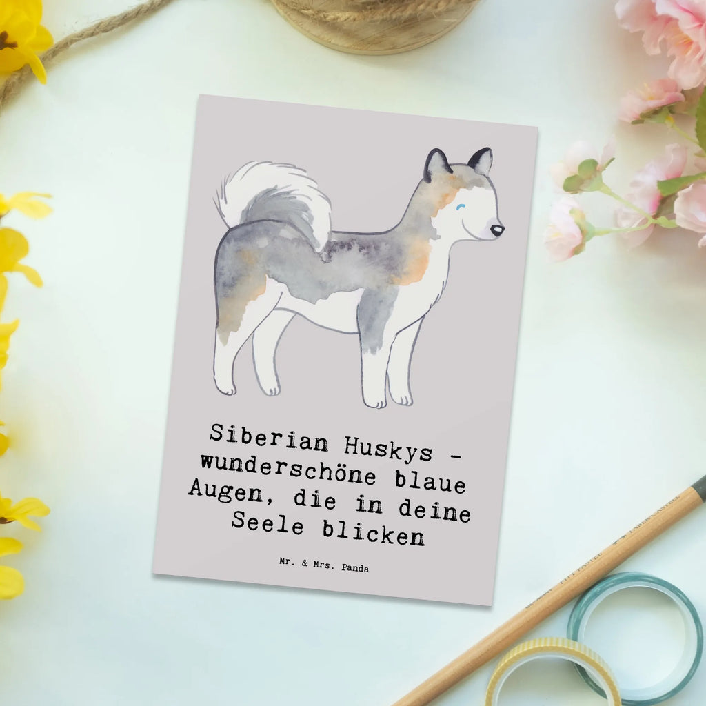 Postkarte Siberian Husky Augenzauber Postkarte, Karte, Geschenkkarte, Grußkarte, Einladung, Ansichtskarte, Geburtstagskarte, Einladungskarte, Dankeskarte, Ansichtskarten, Einladung Geburtstag, Einladungskarten Geburtstag, Hund, Hunderasse, Rassehund, Hundebesitzer, Geschenk, Tierfreund, Schenken, Welpe