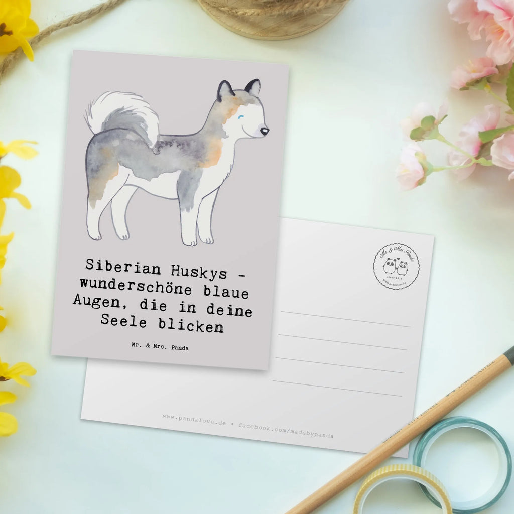 Postkarte Siberian Husky Augenzauber Postkarte, Karte, Geschenkkarte, Grußkarte, Einladung, Ansichtskarte, Geburtstagskarte, Einladungskarte, Dankeskarte, Ansichtskarten, Einladung Geburtstag, Einladungskarten Geburtstag, Hund, Hunderasse, Rassehund, Hundebesitzer, Geschenk, Tierfreund, Schenken, Welpe