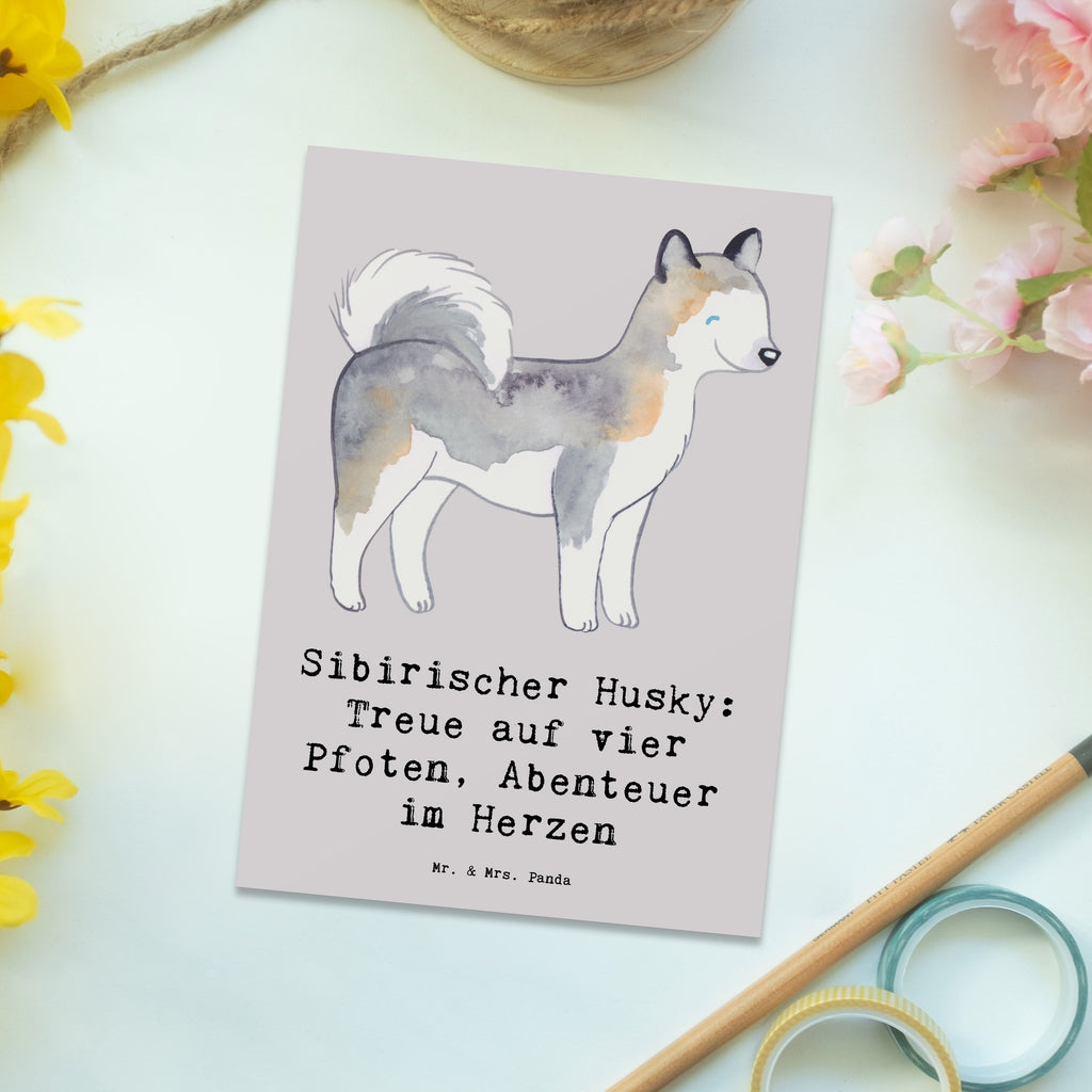 Postkarte Sibirischer Husky Postkarte, Karte, Geschenkkarte, Grußkarte, Einladung, Ansichtskarte, Geburtstagskarte, Einladungskarte, Dankeskarte, Ansichtskarten, Einladung Geburtstag, Einladungskarten Geburtstag, Hund, Hunderasse, Rassehund, Hundebesitzer, Geschenk, Tierfreund, Schenken, Welpe