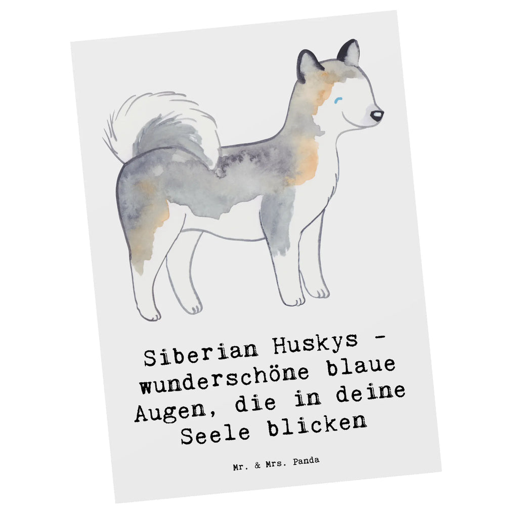 Postkarte Siberian Husky Augenzauber Postkarte, Karte, Geschenkkarte, Grußkarte, Einladung, Ansichtskarte, Geburtstagskarte, Einladungskarte, Dankeskarte, Ansichtskarten, Einladung Geburtstag, Einladungskarten Geburtstag, Hund, Hunderasse, Rassehund, Hundebesitzer, Geschenk, Tierfreund, Schenken, Welpe