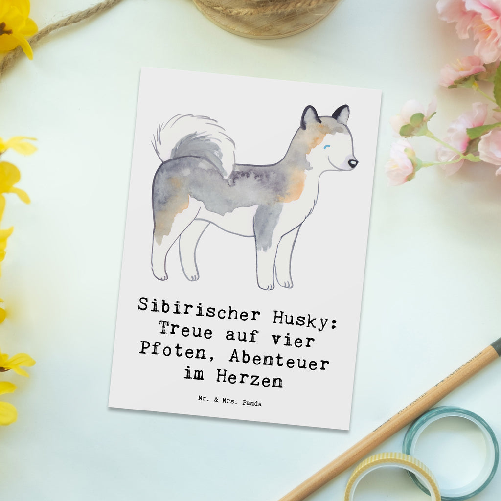 Postkarte Sibirischer Husky Postkarte, Karte, Geschenkkarte, Grußkarte, Einladung, Ansichtskarte, Geburtstagskarte, Einladungskarte, Dankeskarte, Ansichtskarten, Einladung Geburtstag, Einladungskarten Geburtstag, Hund, Hunderasse, Rassehund, Hundebesitzer, Geschenk, Tierfreund, Schenken, Welpe