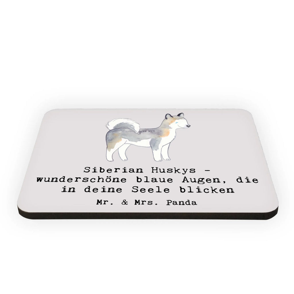 Magnet Siberian Husky Augenzauber Kühlschrankmagnet, Pinnwandmagnet, Souvenir Magnet, Motivmagnete, Dekomagnet, Whiteboard Magnet, Notiz Magnet, Kühlschrank Dekoration, Hund, Hunderasse, Rassehund, Hundebesitzer, Geschenk, Tierfreund, Schenken, Welpe