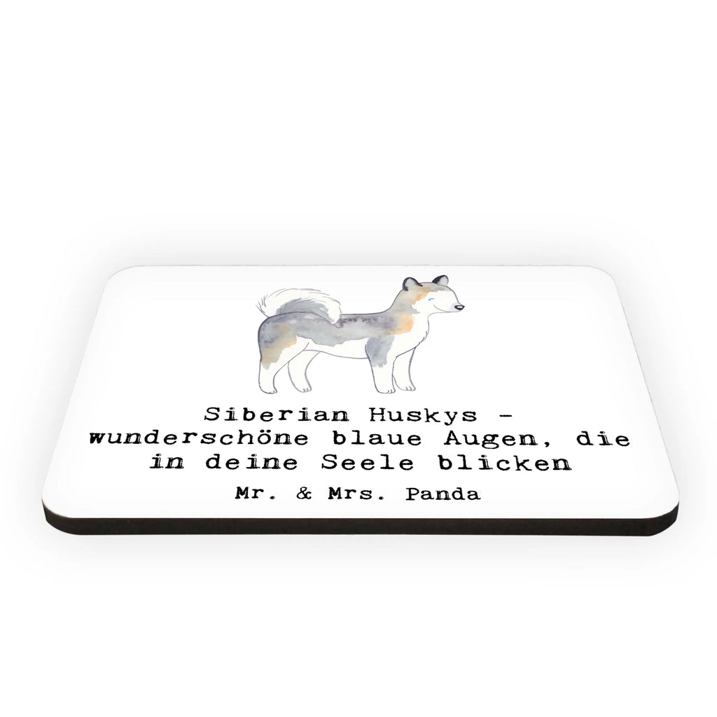 Magnet Siberian Husky Augenzauber Kühlschrankmagnet, Pinnwandmagnet, Souvenir Magnet, Motivmagnete, Dekomagnet, Whiteboard Magnet, Notiz Magnet, Kühlschrank Dekoration, Hund, Hunderasse, Rassehund, Hundebesitzer, Geschenk, Tierfreund, Schenken, Welpe