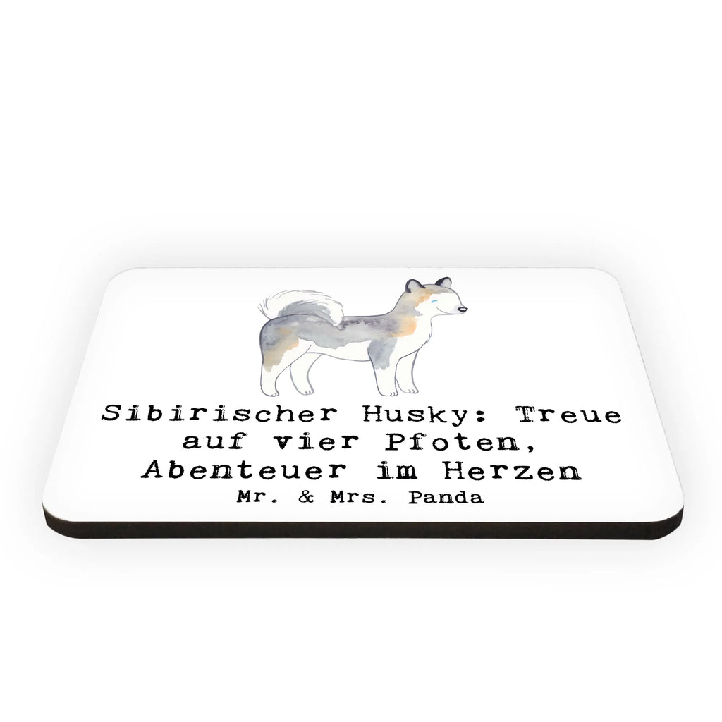 Magnet Sibirischer Husky Kühlschrankmagnet, Pinnwandmagnet, Souvenir Magnet, Motivmagnete, Dekomagnet, Whiteboard Magnet, Notiz Magnet, Kühlschrank Dekoration, Hund, Hunderasse, Rassehund, Hundebesitzer, Geschenk, Tierfreund, Schenken, Welpe