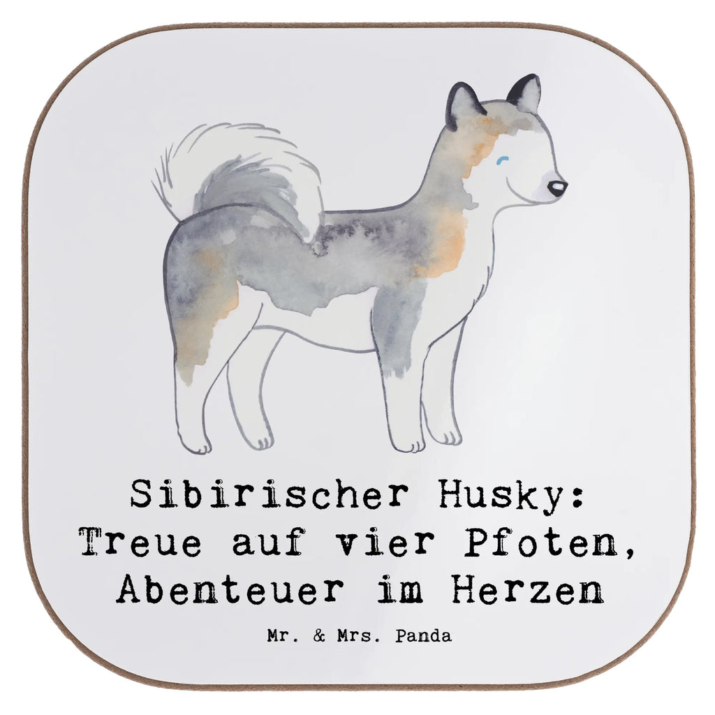 Untersetzer Sibirischer Husky Untersetzer, Bierdeckel, Glasuntersetzer, Untersetzer Gläser, Getränkeuntersetzer, Untersetzer aus Holz, Untersetzer für Gläser, Korkuntersetzer, Untersetzer Holz, Holzuntersetzer, Tassen Untersetzer, Untersetzer Design, Hund, Hunderasse, Rassehund, Hundebesitzer, Geschenk, Tierfreund, Schenken, Welpe