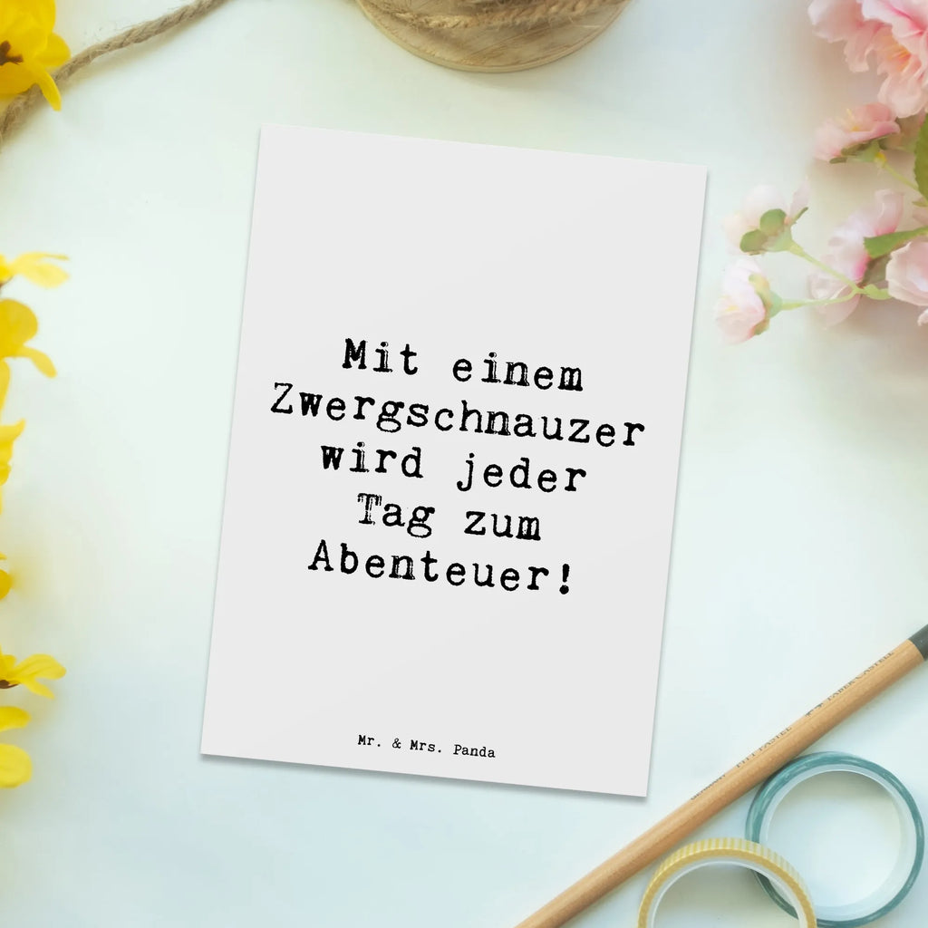 Postkarte Spruch Zwergschnauzer Abenteuer Postkarte, Karte, Geschenkkarte, Grußkarte, Einladung, Ansichtskarte, Geburtstagskarte, Einladungskarte, Dankeskarte, Ansichtskarten, Einladung Geburtstag, Einladungskarten Geburtstag, Hund, Hunderasse, Rassehund, Hundebesitzer, Geschenk, Tierfreund, Schenken, Welpe