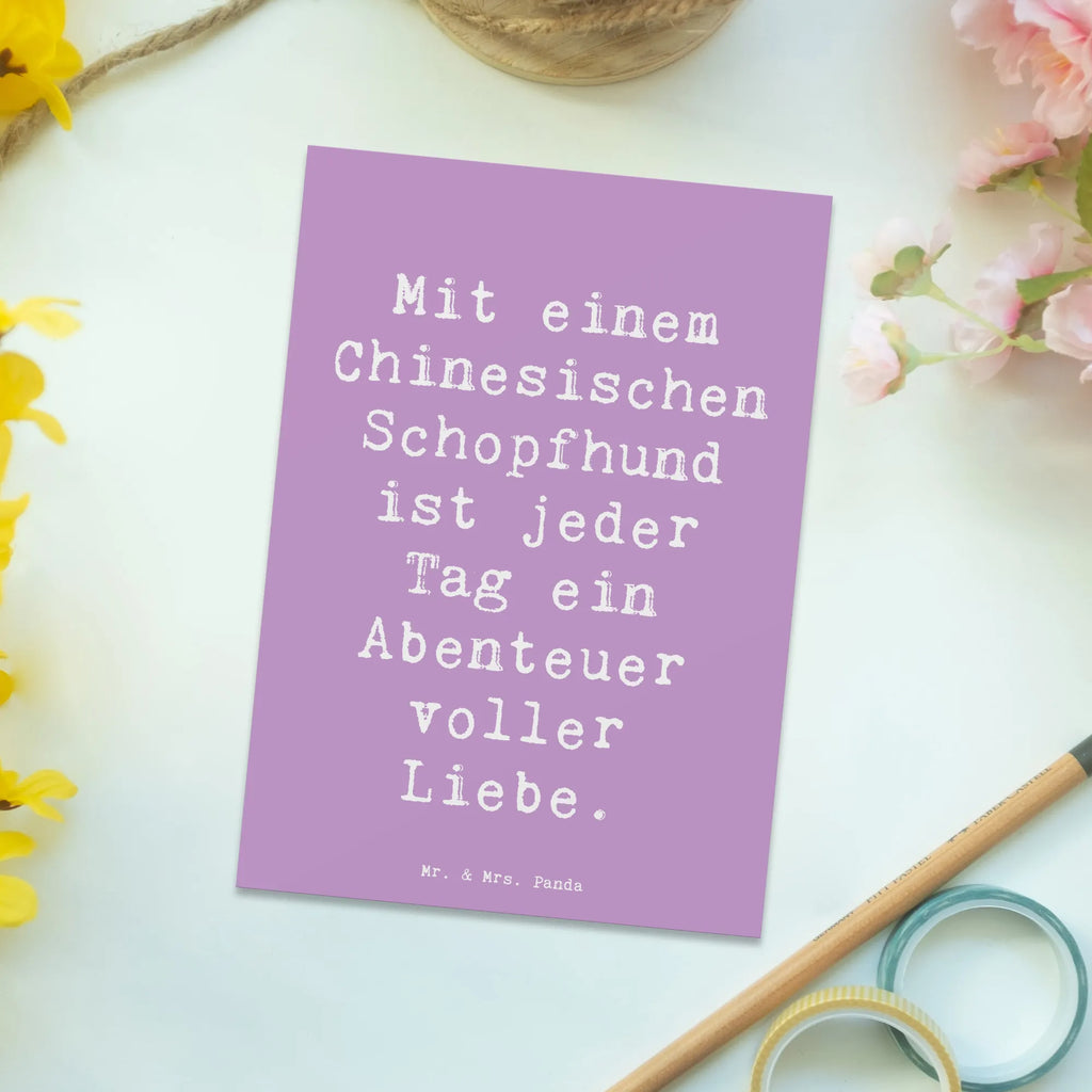 Postkarte Spruch Chinesischer Schopfhund Abenteuer Postkarte, Karte, Geschenkkarte, Grußkarte, Einladung, Ansichtskarte, Geburtstagskarte, Einladungskarte, Dankeskarte, Ansichtskarten, Einladung Geburtstag, Einladungskarten Geburtstag, Hund, Hunderasse, Rassehund, Hundebesitzer, Geschenk, Tierfreund, Schenken, Welpe