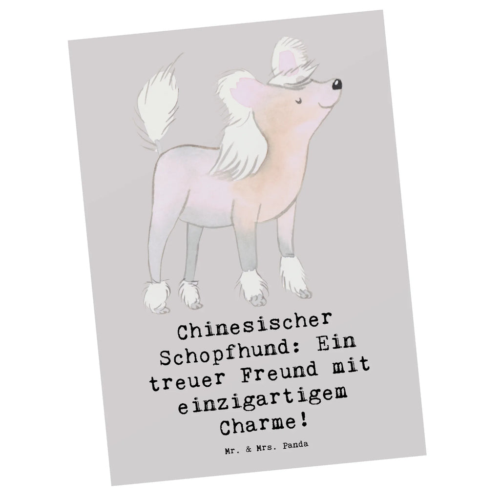 Postkarte Chinesischer Schopfhund Charme Postkarte, Karte, Geschenkkarte, Grußkarte, Einladung, Ansichtskarte, Geburtstagskarte, Einladungskarte, Dankeskarte, Ansichtskarten, Einladung Geburtstag, Einladungskarten Geburtstag, Hund, Hunderasse, Rassehund, Hundebesitzer, Geschenk, Tierfreund, Schenken, Welpe