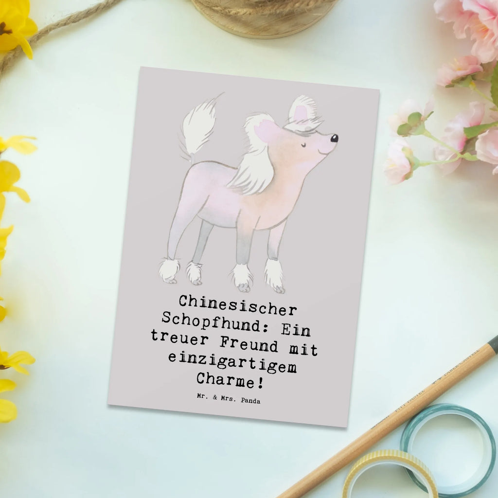 Postkarte Chinesischer Schopfhund Charme Postkarte, Karte, Geschenkkarte, Grußkarte, Einladung, Ansichtskarte, Geburtstagskarte, Einladungskarte, Dankeskarte, Ansichtskarten, Einladung Geburtstag, Einladungskarten Geburtstag, Hund, Hunderasse, Rassehund, Hundebesitzer, Geschenk, Tierfreund, Schenken, Welpe