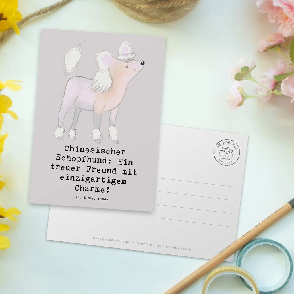 Postkarte Chinesischer Schopfhund Charme Postkarte, Karte, Geschenkkarte, Grußkarte, Einladung, Ansichtskarte, Geburtstagskarte, Einladungskarte, Dankeskarte, Ansichtskarten, Einladung Geburtstag, Einladungskarten Geburtstag, Hund, Hunderasse, Rassehund, Hundebesitzer, Geschenk, Tierfreund, Schenken, Welpe