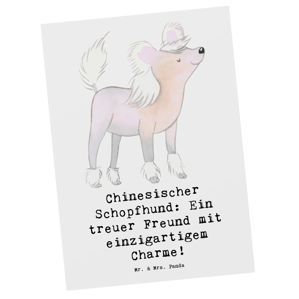 Postkarte Chinesischer Schopfhund Charme Postkarte, Karte, Geschenkkarte, Grußkarte, Einladung, Ansichtskarte, Geburtstagskarte, Einladungskarte, Dankeskarte, Ansichtskarten, Einladung Geburtstag, Einladungskarten Geburtstag, Hund, Hunderasse, Rassehund, Hundebesitzer, Geschenk, Tierfreund, Schenken, Welpe