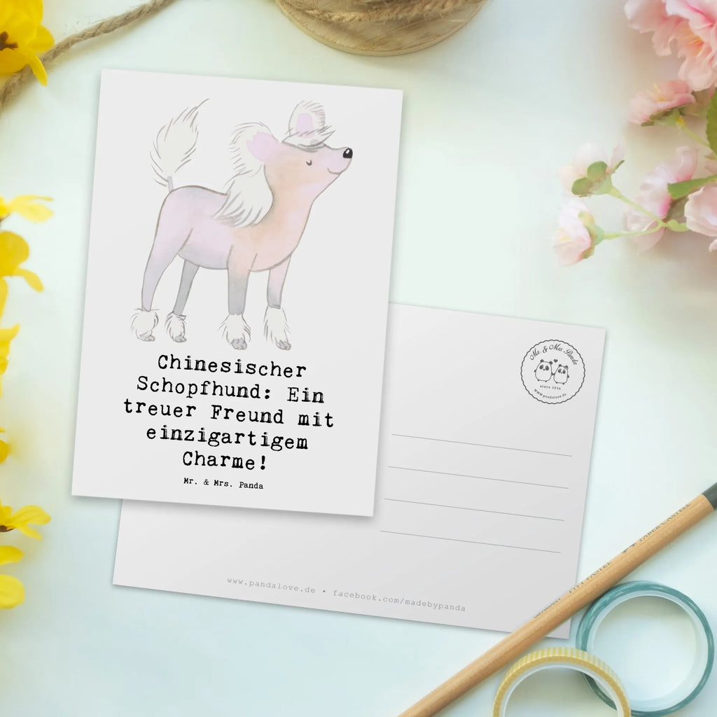 Postkarte Chinesischer Schopfhund Charme Postkarte, Karte, Geschenkkarte, Grußkarte, Einladung, Ansichtskarte, Geburtstagskarte, Einladungskarte, Dankeskarte, Ansichtskarten, Einladung Geburtstag, Einladungskarten Geburtstag, Hund, Hunderasse, Rassehund, Hundebesitzer, Geschenk, Tierfreund, Schenken, Welpe