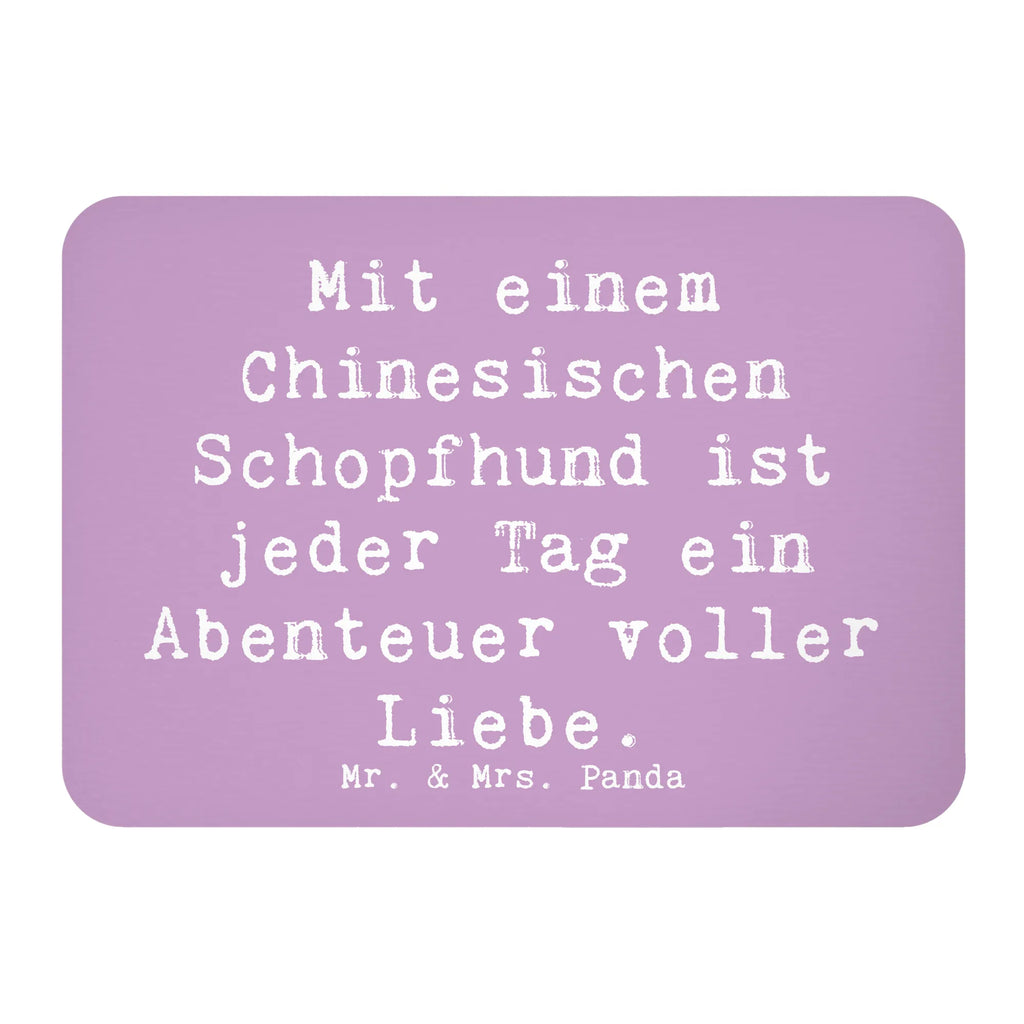 Magnet Spruch Chinesischer Schopfhund Abenteuer Kühlschrankmagnet, Pinnwandmagnet, Souvenir Magnet, Motivmagnete, Dekomagnet, Whiteboard Magnet, Notiz Magnet, Kühlschrank Dekoration, Hund, Hunderasse, Rassehund, Hundebesitzer, Geschenk, Tierfreund, Schenken, Welpe