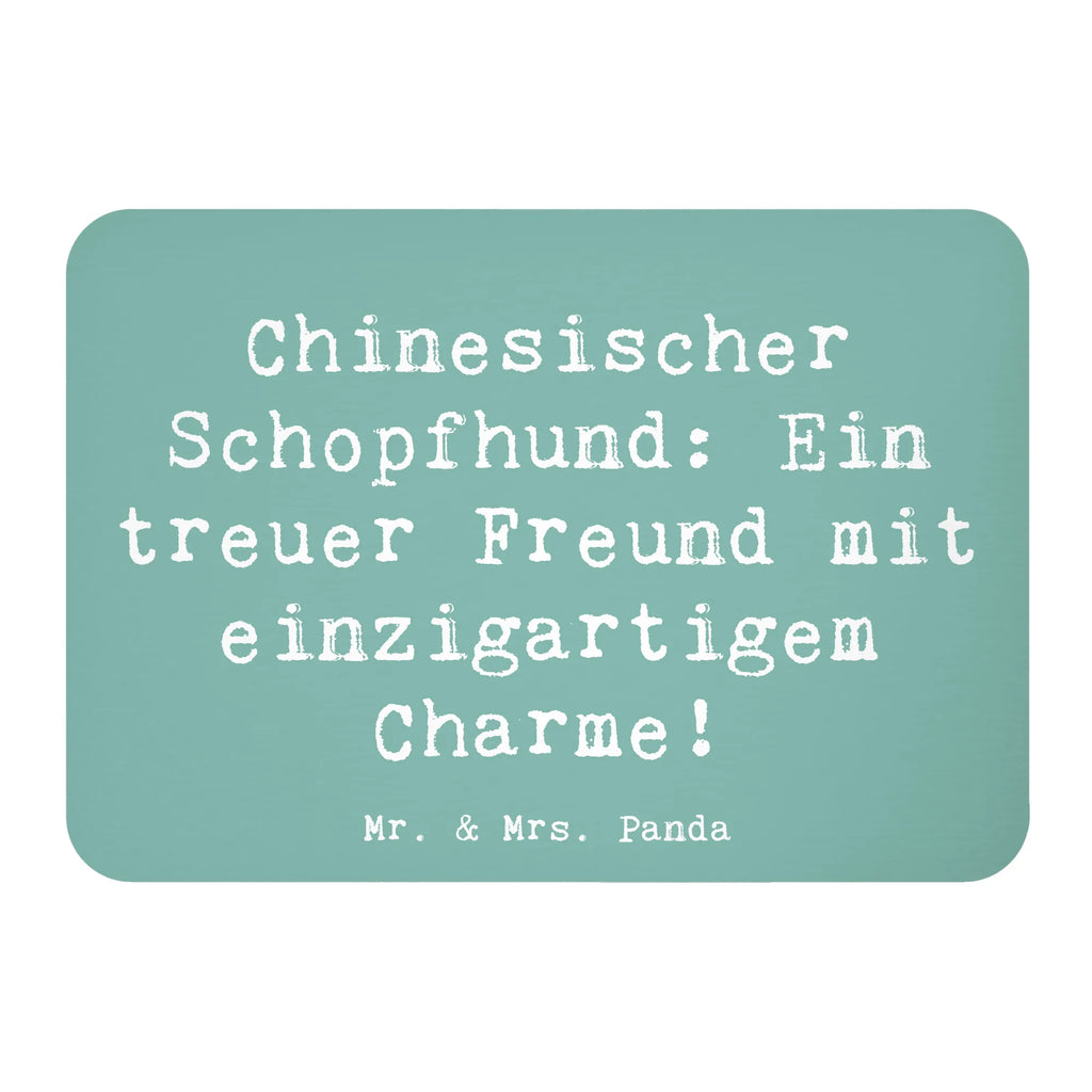 Magnet Spruch Chinesischer Schopfhund Charme Kühlschrankmagnet, Pinnwandmagnet, Souvenir Magnet, Motivmagnete, Dekomagnet, Whiteboard Magnet, Notiz Magnet, Kühlschrank Dekoration, Hund, Hunderasse, Rassehund, Hundebesitzer, Geschenk, Tierfreund, Schenken, Welpe