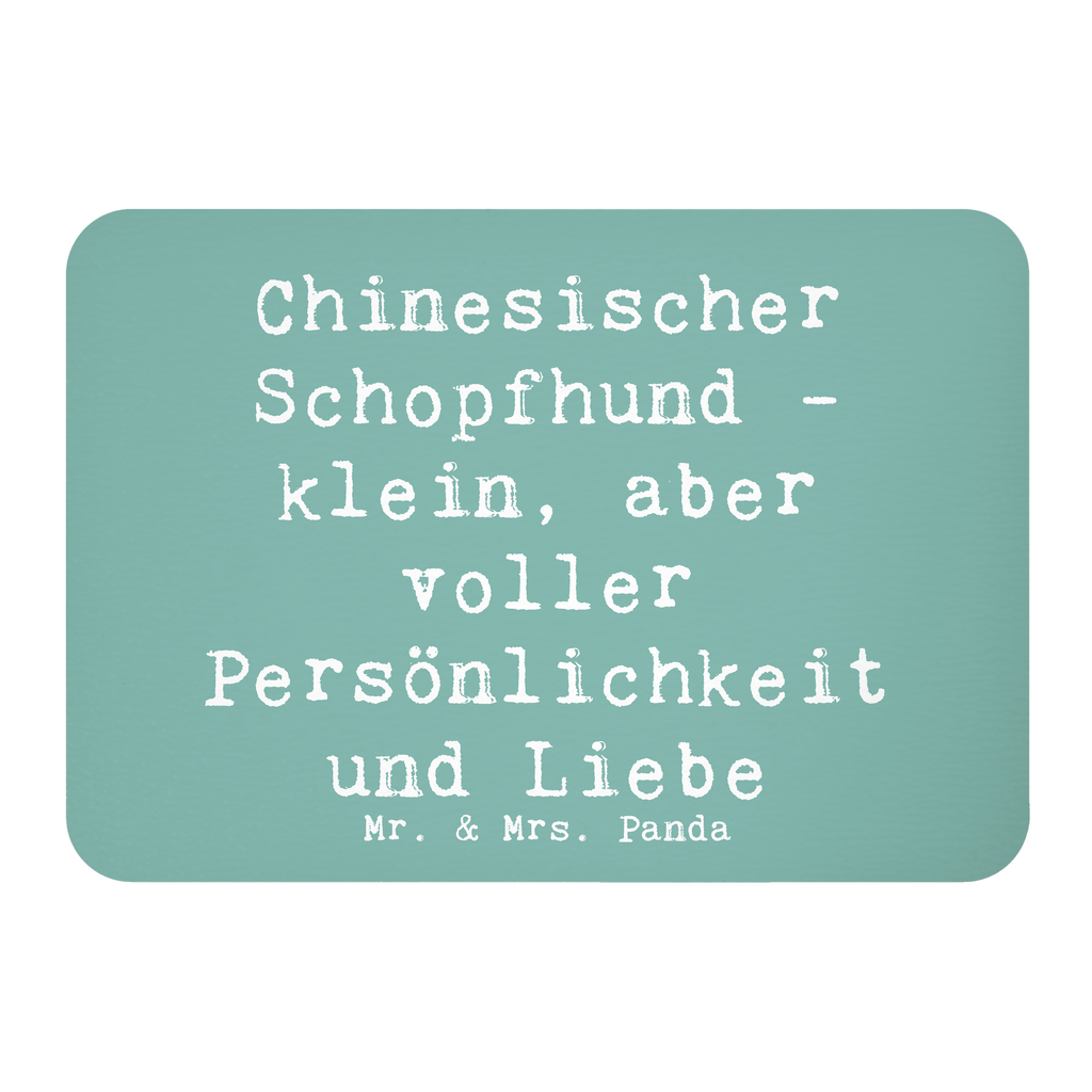 Magnet Spruch Chinesischer Schopfhund Liebe Kühlschrankmagnet, Pinnwandmagnet, Souvenir Magnet, Motivmagnete, Dekomagnet, Whiteboard Magnet, Notiz Magnet, Kühlschrank Dekoration, Hund, Hunderasse, Rassehund, Hundebesitzer, Geschenk, Tierfreund, Schenken, Welpe