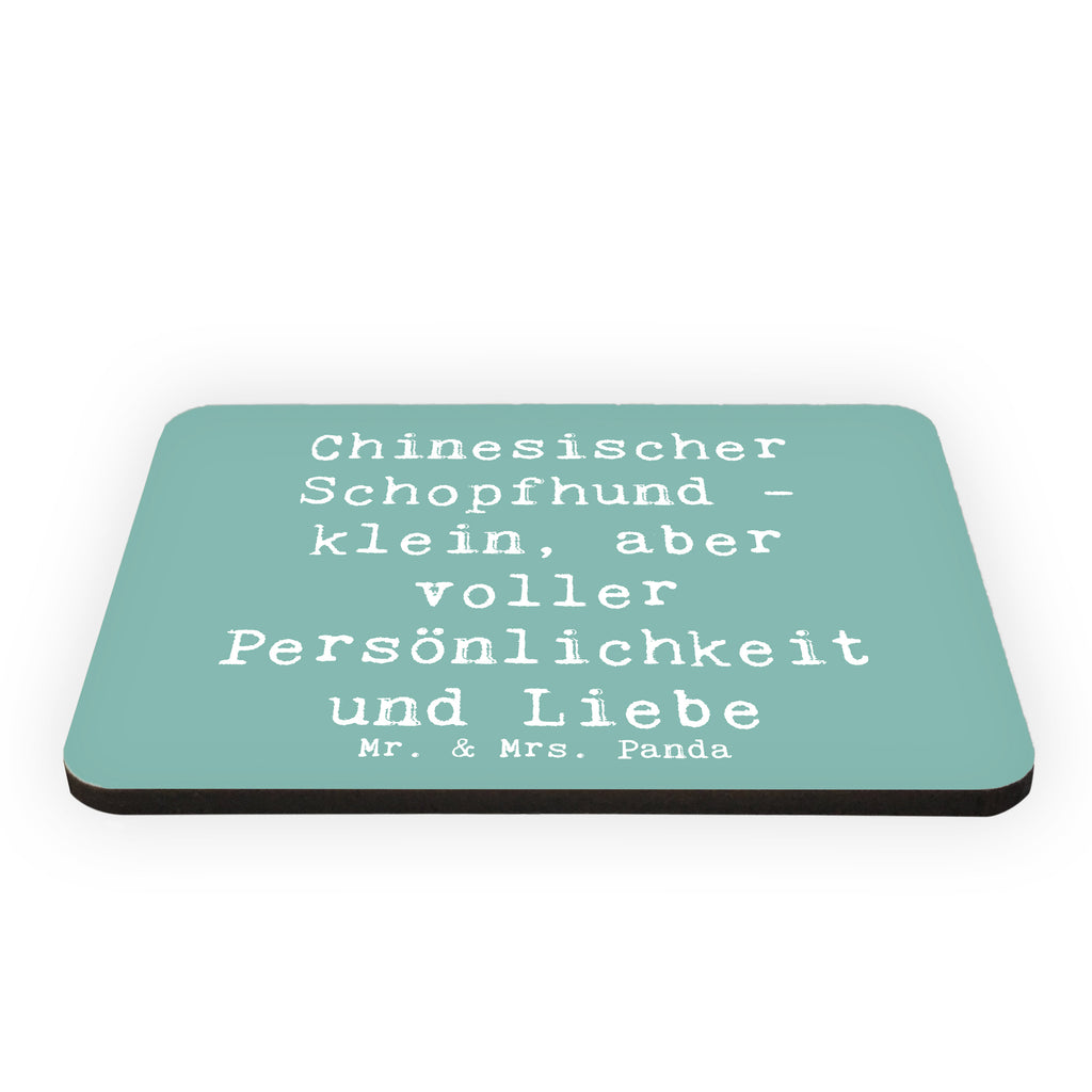 Magnet Spruch Chinesischer Schopfhund Liebe Kühlschrankmagnet, Pinnwandmagnet, Souvenir Magnet, Motivmagnete, Dekomagnet, Whiteboard Magnet, Notiz Magnet, Kühlschrank Dekoration, Hund, Hunderasse, Rassehund, Hundebesitzer, Geschenk, Tierfreund, Schenken, Welpe