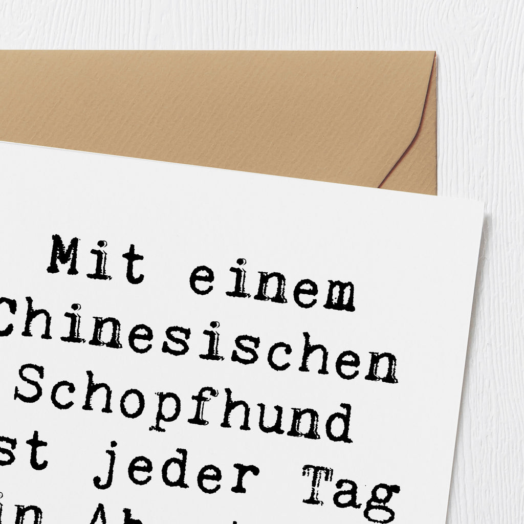 Deluxe Karte Spruch Chinesischer Schopfhund Abenteuer Karte, Grußkarte, Klappkarte, Einladungskarte, Glückwunschkarte, Hochzeitskarte, Geburtstagskarte, Hochwertige Grußkarte, Hochwertige Klappkarte, Hund, Hunderasse, Rassehund, Hundebesitzer, Geschenk, Tierfreund, Schenken, Welpe