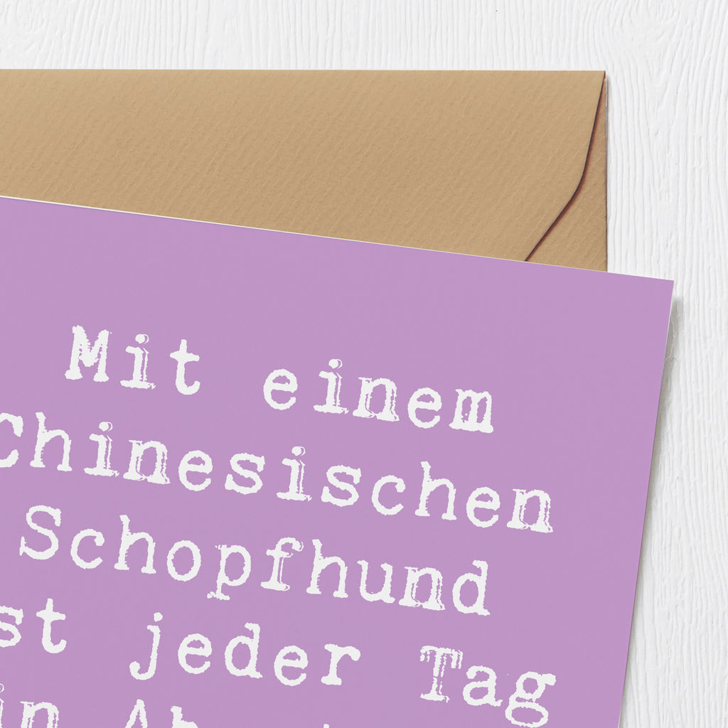 Deluxe Karte Spruch Chinesischer Schopfhund Abenteuer Karte, Grußkarte, Klappkarte, Einladungskarte, Glückwunschkarte, Hochzeitskarte, Geburtstagskarte, Hochwertige Grußkarte, Hochwertige Klappkarte, Hund, Hunderasse, Rassehund, Hundebesitzer, Geschenk, Tierfreund, Schenken, Welpe