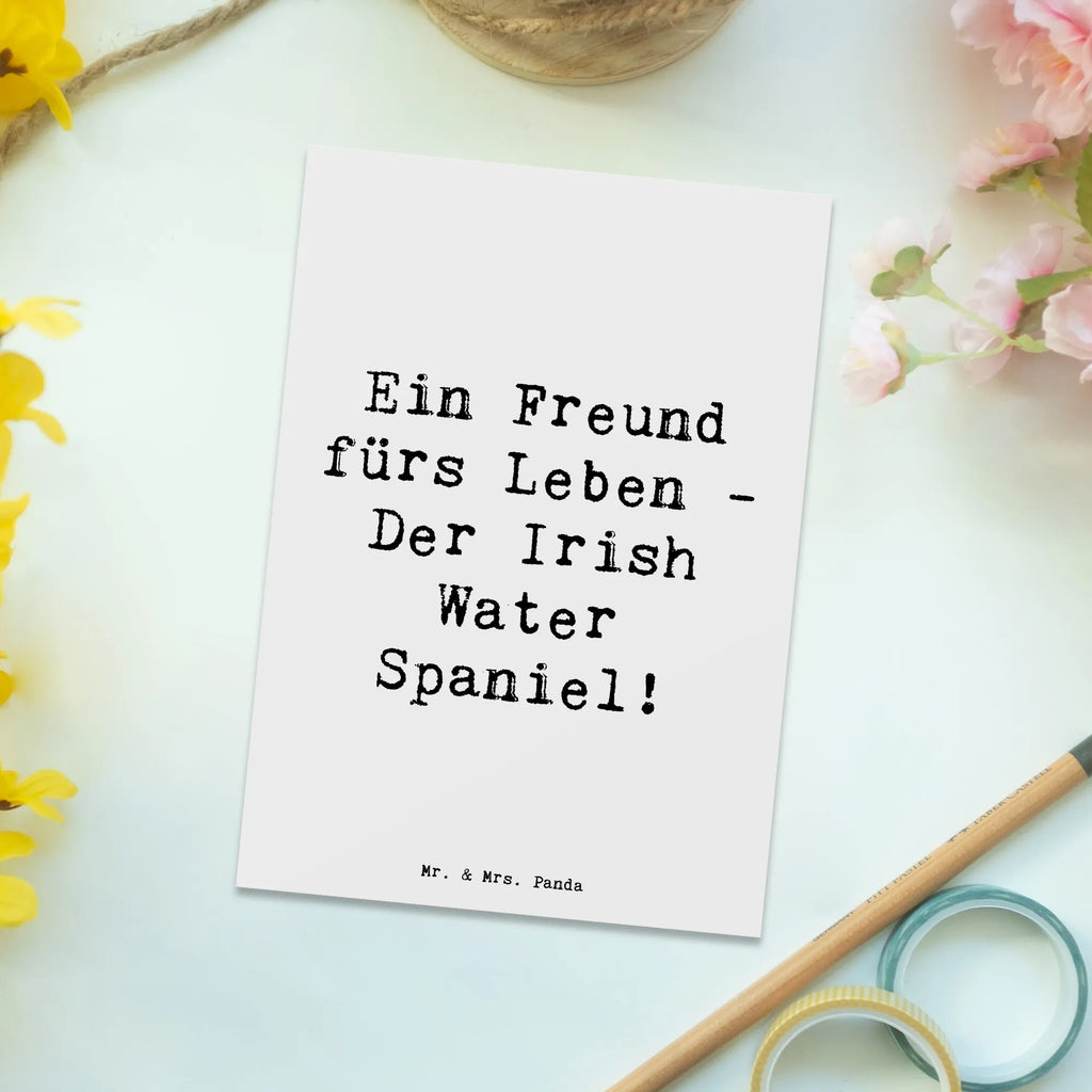 Postkarte Spruch Irish Water Spaniel Freund Postkarte, Karte, Geschenkkarte, Grußkarte, Einladung, Ansichtskarte, Geburtstagskarte, Einladungskarte, Dankeskarte, Ansichtskarten, Einladung Geburtstag, Einladungskarten Geburtstag, Hund, Hunderasse, Rassehund, Hundebesitzer, Geschenk, Tierfreund, Schenken, Welpe