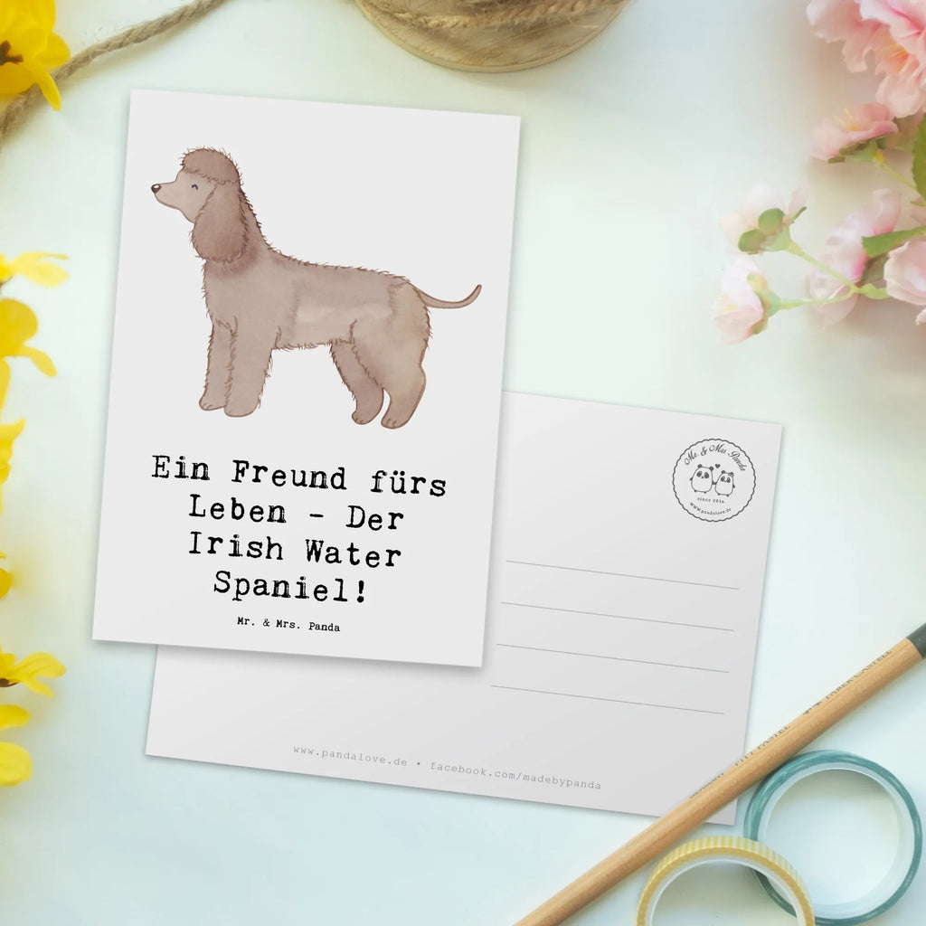 Postkarte Irish Water Spaniel Freund Postkarte, Karte, Geschenkkarte, Grußkarte, Einladung, Ansichtskarte, Geburtstagskarte, Einladungskarte, Dankeskarte, Ansichtskarten, Einladung Geburtstag, Einladungskarten Geburtstag, Hund, Hunderasse, Rassehund, Hundebesitzer, Geschenk, Tierfreund, Schenken, Welpe