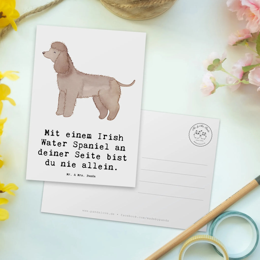 Postkarte Irish Water Spaniel Begleiter Postkarte, Karte, Geschenkkarte, Grußkarte, Einladung, Ansichtskarte, Geburtstagskarte, Einladungskarte, Dankeskarte, Ansichtskarten, Einladung Geburtstag, Einladungskarten Geburtstag, Hund, Hunderasse, Rassehund, Hundebesitzer, Geschenk, Tierfreund, Schenken, Welpe