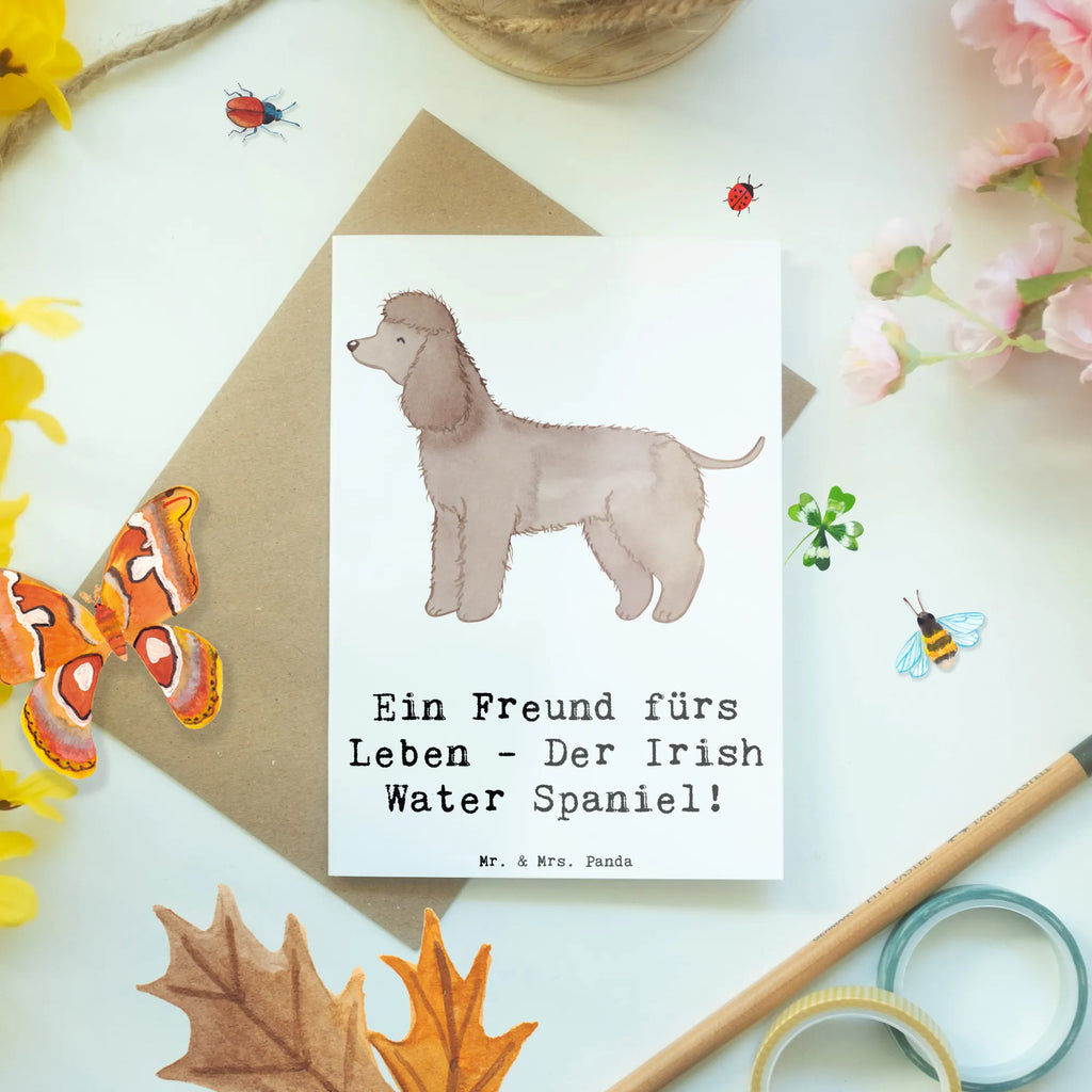 Grußkarte Irish Water Spaniel Freund Grußkarte, Klappkarte, Einladungskarte, Glückwunschkarte, Hochzeitskarte, Geburtstagskarte, Karte, Ansichtskarten, Hund, Hunderasse, Rassehund, Hundebesitzer, Geschenk, Tierfreund, Schenken, Welpe