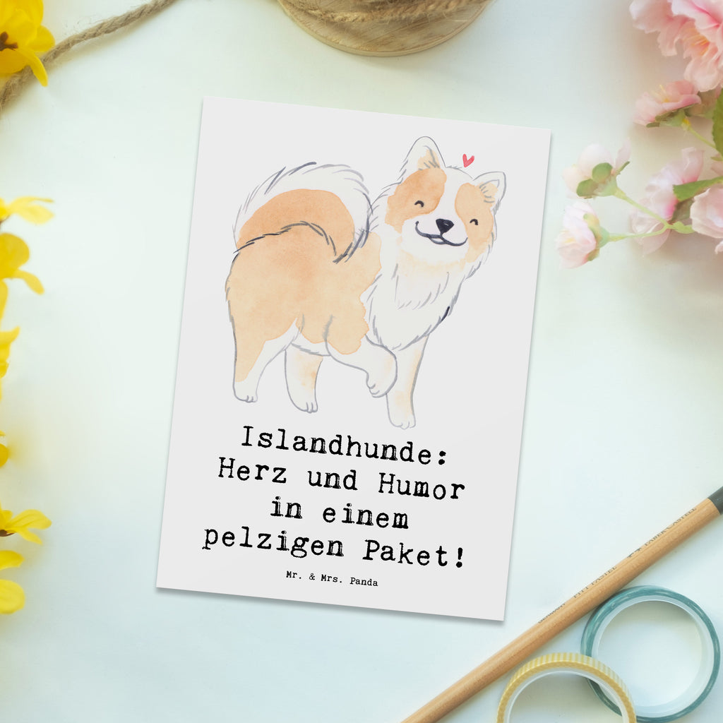 Postkarte Islandhund Freude Postkarte, Karte, Geschenkkarte, Grußkarte, Einladung, Ansichtskarte, Geburtstagskarte, Einladungskarte, Dankeskarte, Ansichtskarten, Einladung Geburtstag, Einladungskarten Geburtstag, Hund, Hunderasse, Rassehund, Hundebesitzer, Geschenk, Tierfreund, Schenken, Welpe