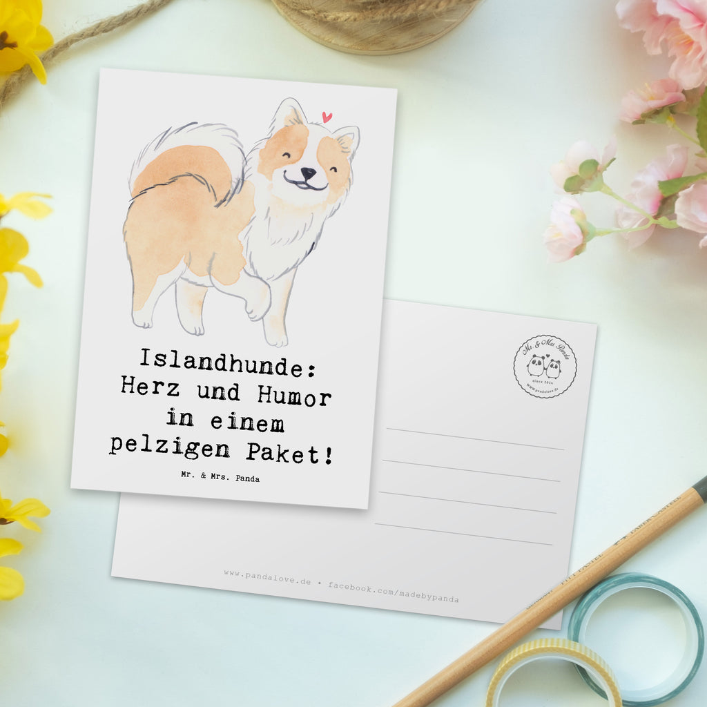 Postkarte Islandhund Freude Postkarte, Karte, Geschenkkarte, Grußkarte, Einladung, Ansichtskarte, Geburtstagskarte, Einladungskarte, Dankeskarte, Ansichtskarten, Einladung Geburtstag, Einladungskarten Geburtstag, Hund, Hunderasse, Rassehund, Hundebesitzer, Geschenk, Tierfreund, Schenken, Welpe