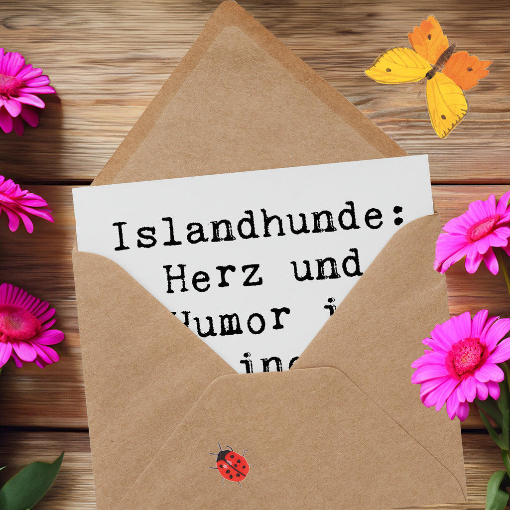 Deluxe Karte Spruch Islandhund Freude Karte, Grußkarte, Klappkarte, Einladungskarte, Glückwunschkarte, Hochzeitskarte, Geburtstagskarte, Hochwertige Grußkarte, Hochwertige Klappkarte, Hund, Hunderasse, Rassehund, Hundebesitzer, Geschenk, Tierfreund, Schenken, Welpe