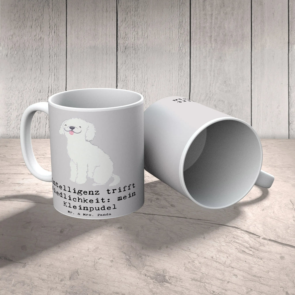 Tasse Niedlicher Kleinpudel Tasse, Kaffeetasse, Teetasse, Becher, Kaffeebecher, Teebecher, Keramiktasse, Porzellantasse, Büro Tasse, Geschenk Tasse, Tasse Sprüche, Tasse Motive, Kaffeetassen, Tasse bedrucken, Designer Tasse, Cappuccino Tassen, Schöne Teetassen, Hund, Hunderasse, Rassehund, Hundebesitzer, Geschenk, Tierfreund, Schenken, Welpe