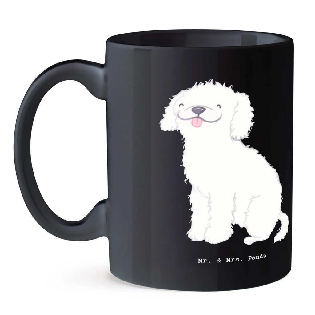 Tasse Niedlicher Kleinpudel Tasse, Kaffeetasse, Teetasse, Becher, Kaffeebecher, Teebecher, Keramiktasse, Porzellantasse, Büro Tasse, Geschenk Tasse, Tasse Sprüche, Tasse Motive, Kaffeetassen, Tasse bedrucken, Designer Tasse, Cappuccino Tassen, Schöne Teetassen, Hund, Hunderasse, Rassehund, Hundebesitzer, Geschenk, Tierfreund, Schenken, Welpe