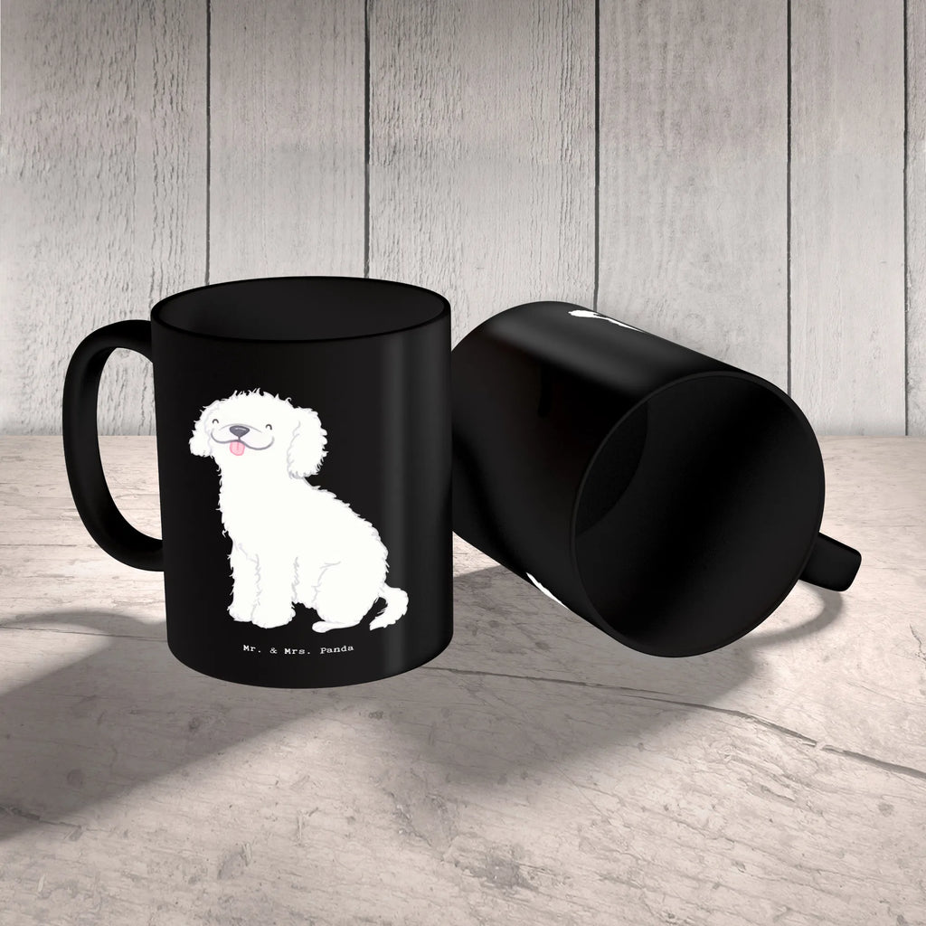 Tasse Niedlicher Kleinpudel Tasse, Kaffeetasse, Teetasse, Becher, Kaffeebecher, Teebecher, Keramiktasse, Porzellantasse, Büro Tasse, Geschenk Tasse, Tasse Sprüche, Tasse Motive, Kaffeetassen, Tasse bedrucken, Designer Tasse, Cappuccino Tassen, Schöne Teetassen, Hund, Hunderasse, Rassehund, Hundebesitzer, Geschenk, Tierfreund, Schenken, Welpe