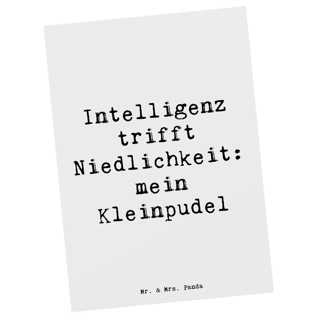 Postkarte Spruch Niedlicher Kleinpudel Postkarte, Karte, Geschenkkarte, Grußkarte, Einladung, Ansichtskarte, Geburtstagskarte, Einladungskarte, Dankeskarte, Ansichtskarten, Einladung Geburtstag, Einladungskarten Geburtstag, Hund, Hunderasse, Rassehund, Hundebesitzer, Geschenk, Tierfreund, Schenken, Welpe