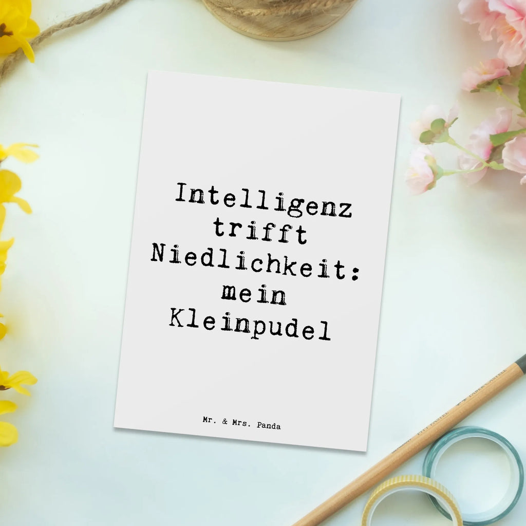 Postkarte Spruch Niedlicher Kleinpudel Postkarte, Karte, Geschenkkarte, Grußkarte, Einladung, Ansichtskarte, Geburtstagskarte, Einladungskarte, Dankeskarte, Ansichtskarten, Einladung Geburtstag, Einladungskarten Geburtstag, Hund, Hunderasse, Rassehund, Hundebesitzer, Geschenk, Tierfreund, Schenken, Welpe